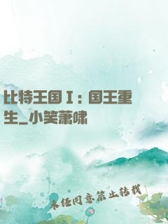 比特王国Ⅰ: 国王重生